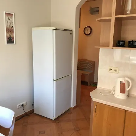 Apartament Centrale *